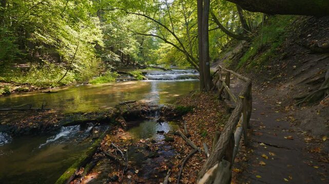 Tanew River. Small waterfalls. Natural river cascades. Path along the river. Wooden balustrades. Szumy nad Tanwia nature reserve. Roztocze, Poland