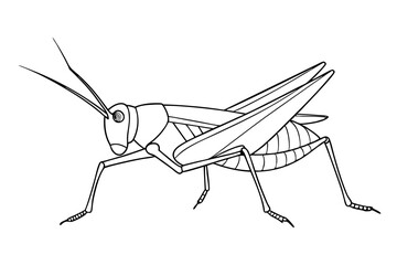 Elegant Line Drawing of a Grasshopper Minimalist Art Inspiration