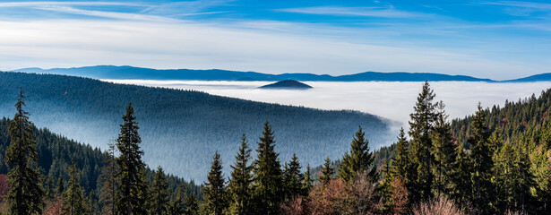 Obraz premium View from Mountains to the Valley Covered with Foggy and with trees in the foreground.