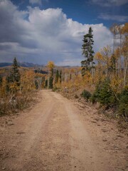 Dirt road in San Juan National Forest in autumn in southern Colorado with fall colors