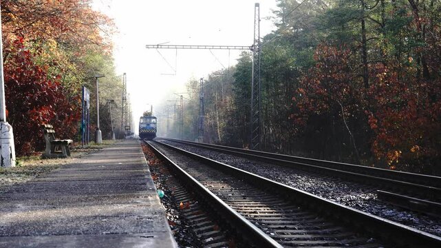 Slow Train Picture