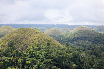 Fototapeta premium Chocolate Hills, located in Bohol, Philippines
