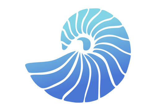Ilustraci&oacute;n de vida marina. Silueta aislada de concha de nautilo 