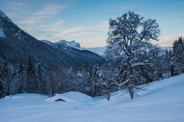 Mountain landscape in snowy winter scenery with soft snow covered tree and roof by, Orobie alps, Lombardy, Italy