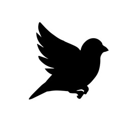 Fototapeta premium canary bird