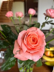 Obraz premium A bouquet of pink roses 