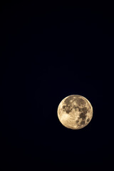 Fototapeta premium Beaver Super Moon morning of November 16, 2024