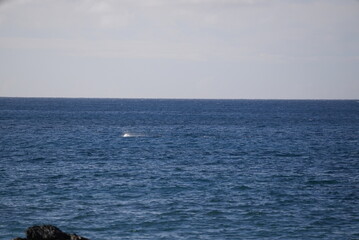 Fototapeta premium Leaves changing colors in the fall reflection on a lake
