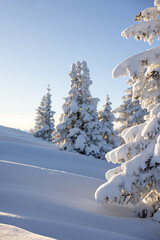 Golden light on a clear winter morning in the Austrian Alps. Winter mountain landscape