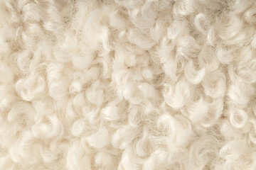 Fototapeta premium Abstract Wool Texture with Soft Curves