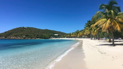 Tropical Beach Scene With Palm Trees And Clear Water