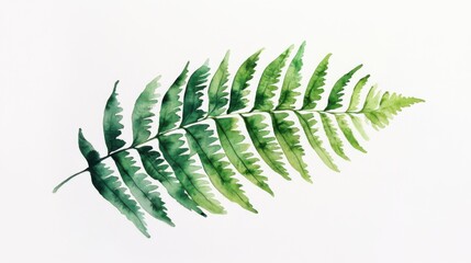 Lush green fern leaf delicately painted with varying shades