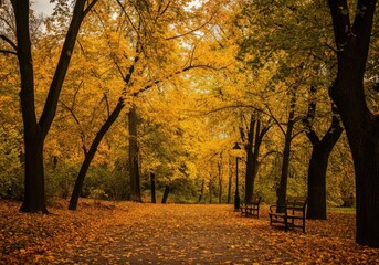 Serene autumn park pathway lined with yellow foliage and empty benches