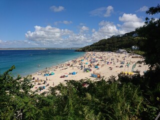 beach with trees