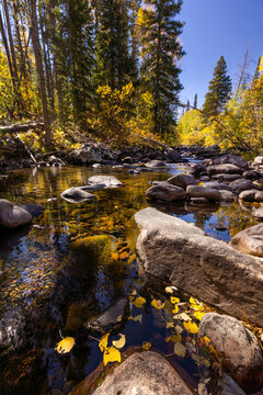 Fall colors along the Encampment River in southeastern Wyoming