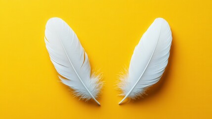 Obraz premium Two pristine white feathers are positioned symmetrically against a bright yellow background, highlighting their delicate structure and soft texture, creating a captivating visual effect