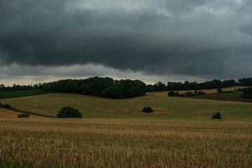 Antes de la tempestad