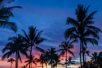Obraz premium Palm Trees Silhouetted Against a Vibrant Sunset Sky on Big Island, Hawaii – Tropical Paradise, Tranquil Scenic Landscape, Colorful Hawaiian Evening