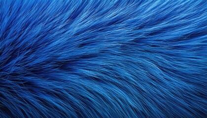 Obraz premium blue fur texture top view. blue sheepskin background. Fur pattern. Texture of blue shaggy