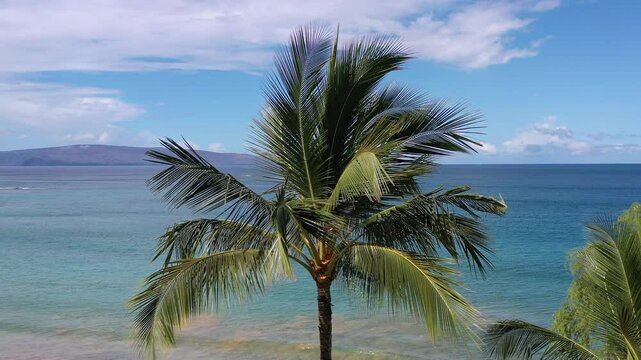 Molokini reveal past palm trees on Maui Hawaii
