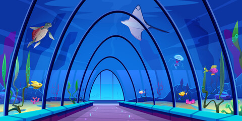 Underwater tunnel in oceanarium, colorful underwater world with fish, algae, corals, turtle, stingray fish. Glass arched dome, aquarium hall, tourist place, educational tour. Vector cartoon.