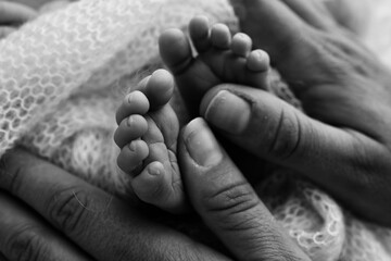 Mother is doing massage on her baby foot. Closeup baby feet in mother hands. Prevention of flat feet, development, muscle tone, dysplasia. Family, love, care, and health concepts. Black and white. 