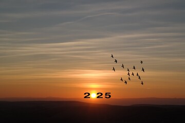 Naklejka premium Transition from 2024 to new year 2025 concept with text on sun rising sky. Creative Concept.