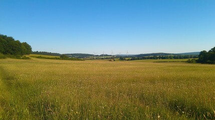 Expansive Meadow Landscape Featuring Distant Wind Turbines Under a Clear Sky with Lush Greenery and Gentle Breeze