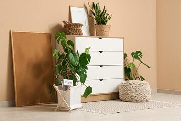 Chest of drawers, houseplants and frame near beige wall