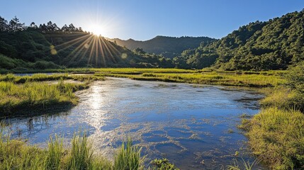 Fototapeta premium Serene Sunrise Over Tranquil Wetlands with Vibrant Greenery, Reflective Water Surface, and Majestic Mountains in the Background Illuminated by Golden Sunlight