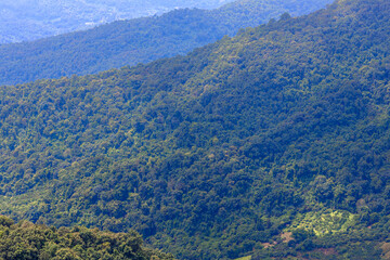 Obraz premium Background of a natural travel landscape with fog covering the road, clear sky from the viewpoint, various trees and cool breeze.
