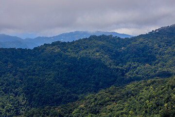 Obraz premium Background of a natural travel landscape with fog covering the road, clear sky from the viewpoint, various trees and cool breeze.