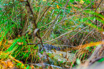 Obraz premium Cascada del salto de la novia en cirat