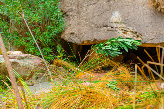 Peque&ntilde;a fuente del piojo en cirat