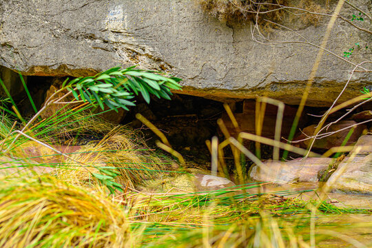 Peque&ntilde;a fuente del piojo en cirat