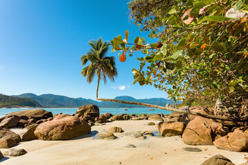 Praia do Aventureiro beach, view of this tropical paradise on Ilha Grande with famous palm, crooked...