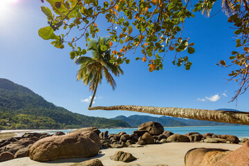 Praia do Aventureiro beach, view of this tropical paradise on Ilha Grande with famous palm, crooked...