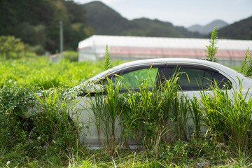 放置された車