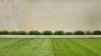 Fresh green grass in a garden near a house facade with a beige concrete wall in the background.