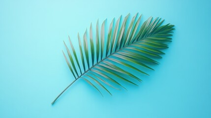 Obraz premium Single palm frond on blue background.