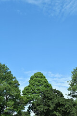 Obraz premium Cielo azul despejado, paisaje en Guatemala.