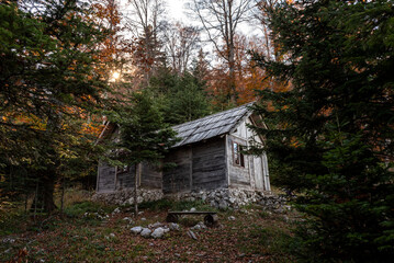 Wooden cabin in the woods