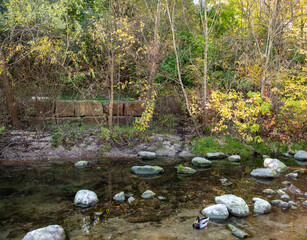 stream in the forest