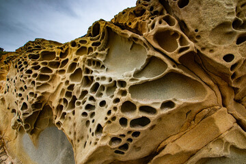 Alien Landscape #3