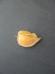 Fruits of Physalis peruviana, Tomatillo, Inca berry, Cape gooseberry