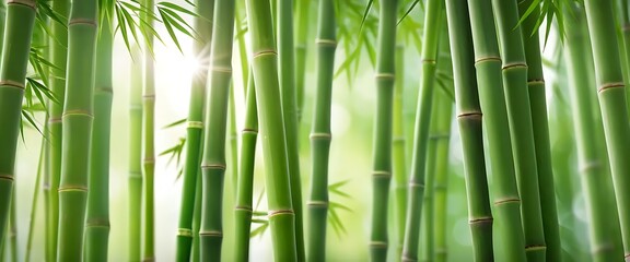 Fototapeta premium Fresh Green Bamboo Stalks with Light Filtering Through Leaves for a Serene Vibrant Background