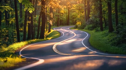 Winding road through sun-dappled forest.