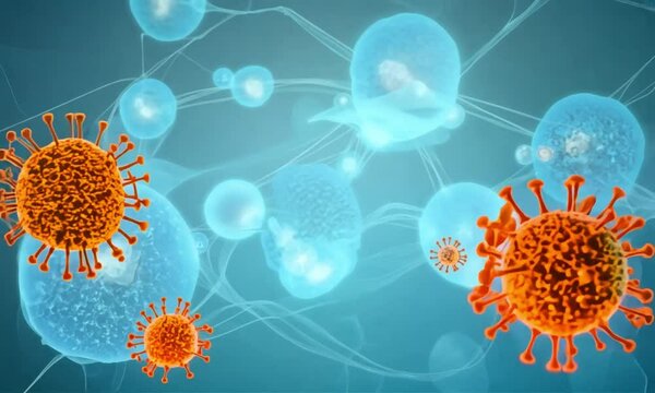 Human Body Immunity Shield: Defense Mechanisms in Action