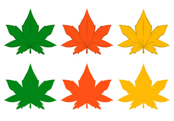 Obraz premium It is a maple leaf illustration.
