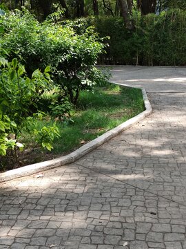 They can have gardens, parks and trees in them.puedan contar con jardines, parques y &aacute;rboles en ellas(9830)